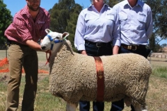 4th Horsham 2012 Purchased By R & T Willmott, Hanookra $4500