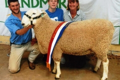 Champion Dubbo 2009 Sold for Top Price of $4000 to Darjeeling Stud