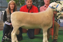 110161tw-1st Junior Pair & Group 3 Rams Adelaide. Sold Elite Sale to Sankirra Stud $8000