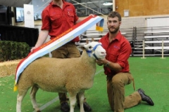 13W023 Princess Kate Supreme Prime Lamb Dam Sydney Royal 2014