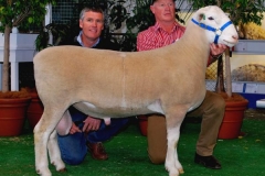 Big Thing Champ. Sydney 2012,1st Dubbo 2012, Adelaide- Purchased $11,000 Jandebrey