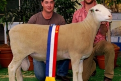 Target 110222ET- Junior Champion Adelaide Royal, half share sol to Bundara Downs